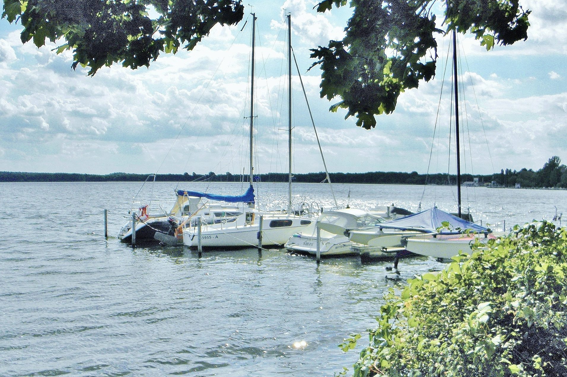 cropped-sailboats-ge75b8704c_1920.jpg